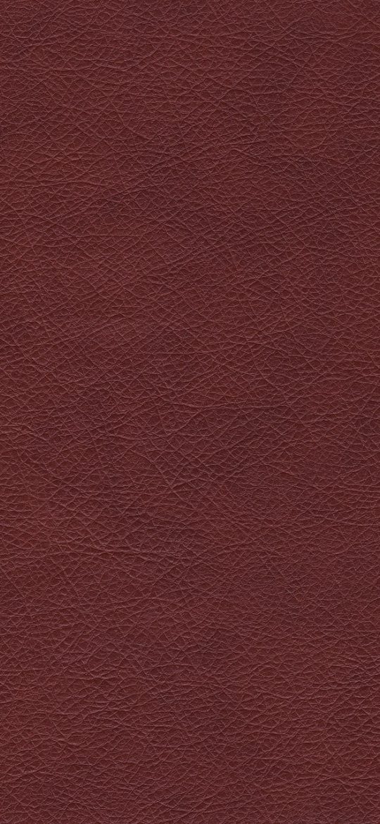 画布 App 材质比对界面截图，四种画布材质以横向表格并列展示克重、纹理与吸油量参数，橄榄绿与陶土橙作为表格分隔强调色